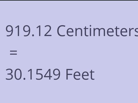 919.12 CM TO FEET