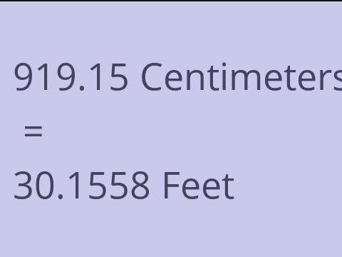 919.15 CM TO FEET