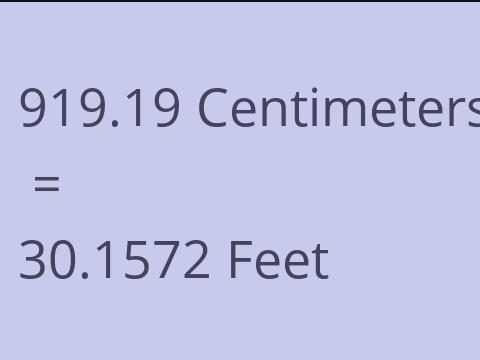 919.19 CM TO FEET