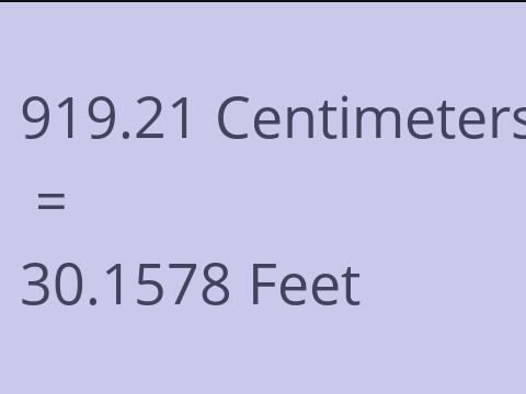 919.21 CM TO FEET