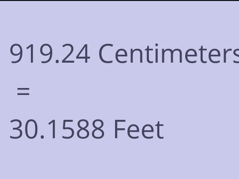 919.24 CM TO FEET