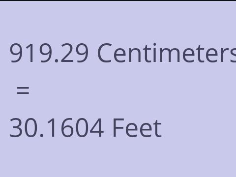 919.29 CM TO FEET