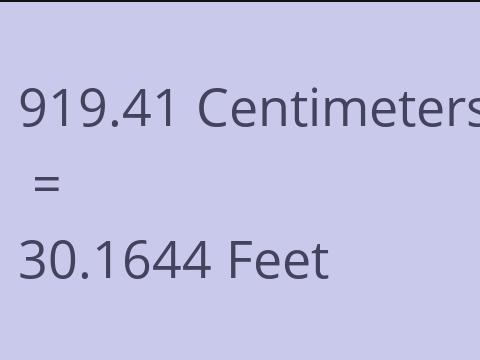 919.41 CM TO FEET