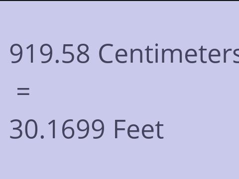 919.58 CM TO FEET