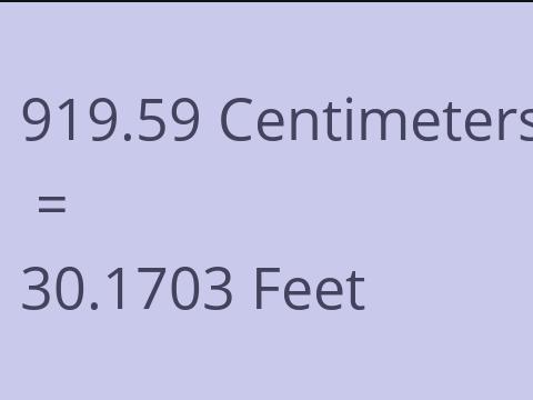 919.59 CM TO FEET