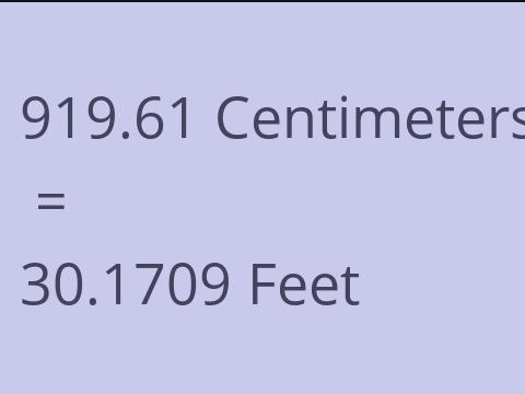 919.61 CM TO FEET