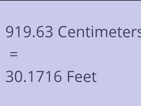 919.63 CM TO FEET