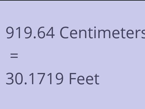 919.64 CM TO FEET