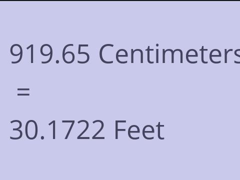 919.65 CM TO FEET