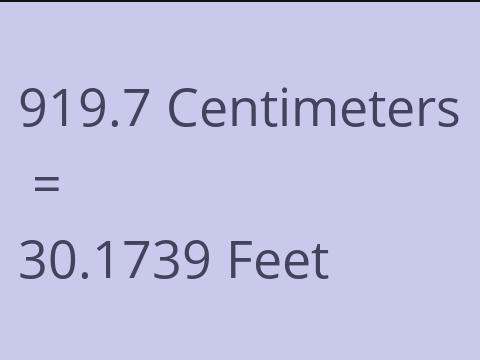 919.7 CM TO FEET