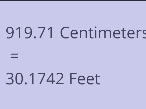 919.71 CM TO FEET