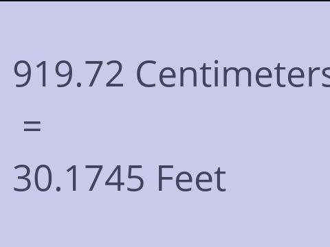 919.72 CM TO FEET