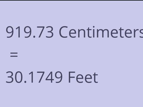 919.73 CM TO FEET