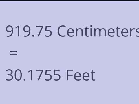 919.75 CM TO FEET