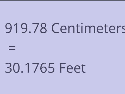 919.78 CM TO FEET