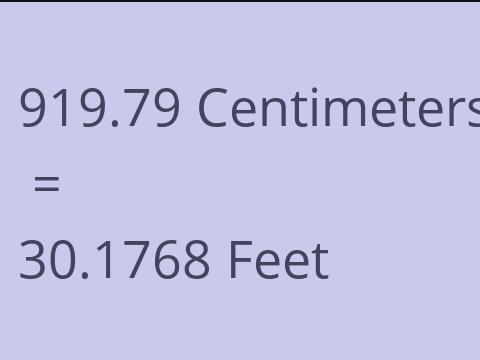 919.79 CM TO FEET