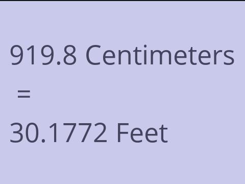 919.8 CM TO FEET