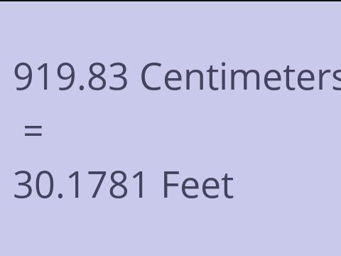 919.83 CM TO FEET