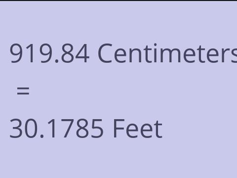 919.84 CM TO FEET