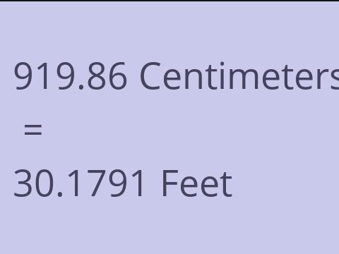 919.86 CM TO FEET