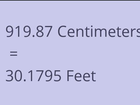 919.87 CM TO FEET