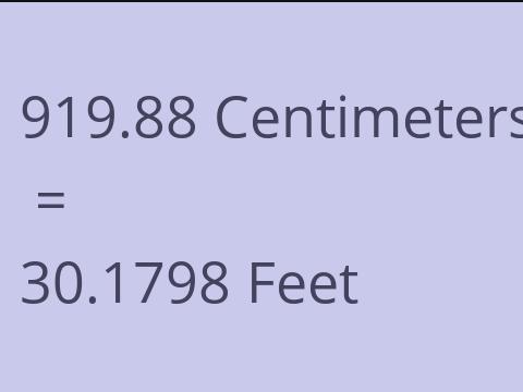 919.88 CM TO FEET