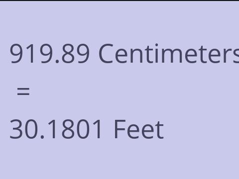 919.89 CM TO FEET