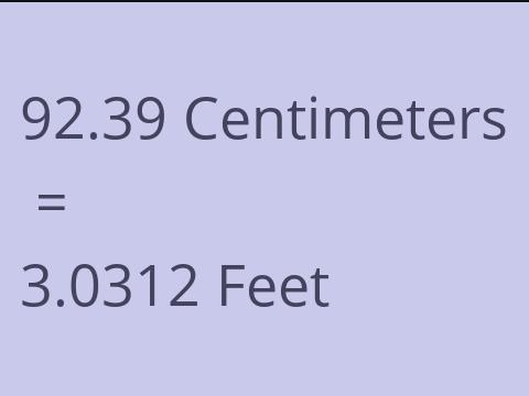 92.39 CM TO FEET