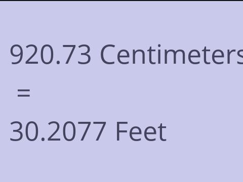 920.73 CM TO FEET