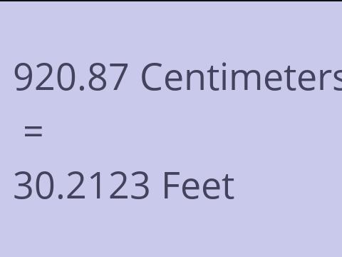 920.87 CM TO FEET