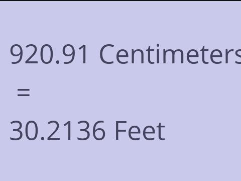 920.91 CM TO FEET