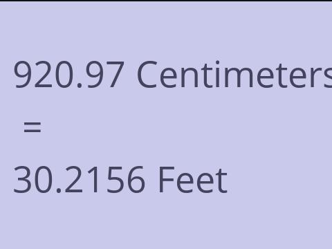 920.97 CM TO FEET