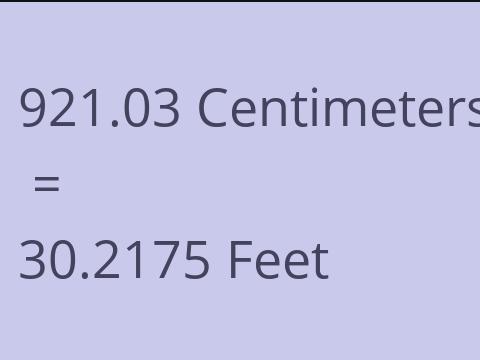 921.03 CM TO FEET