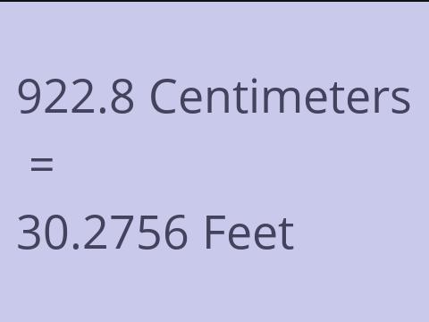 922.8 CM TO FEET