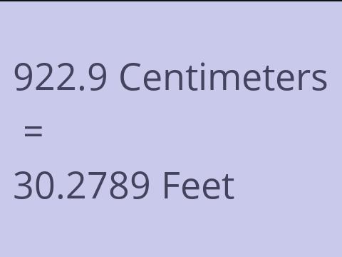 922.9 CM TO FEET