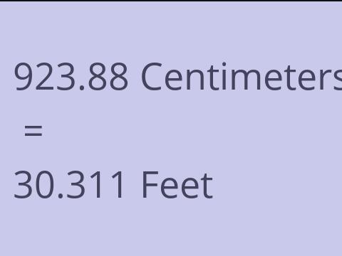 923.88 CM TO FEET