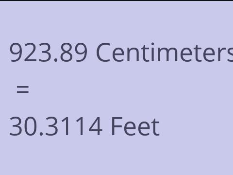 923.89 CM TO FEET