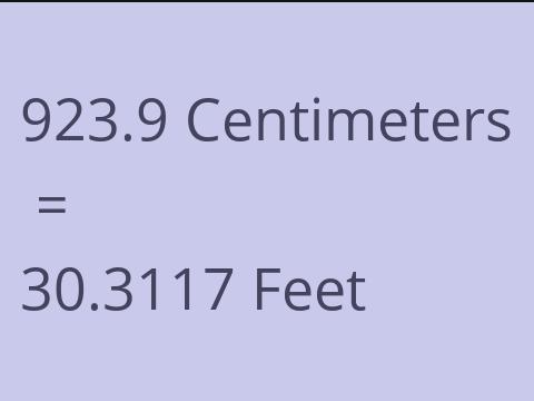 923.9 CM TO FEET