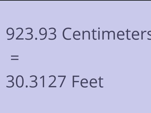 923.93 CM TO FEET