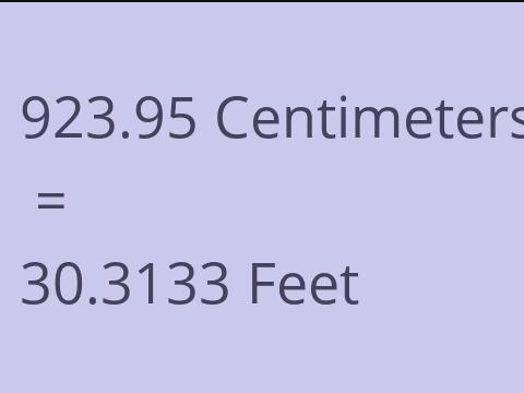 923.95 CM TO FEET