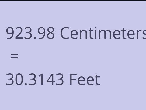 923.98 CM TO FEET