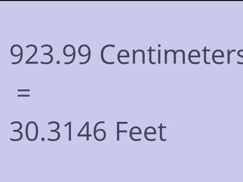 923.99 CM TO FEET