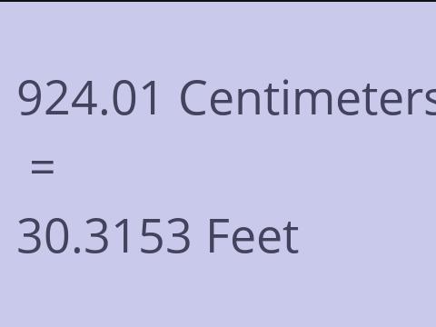 924.01 CM TO FEET