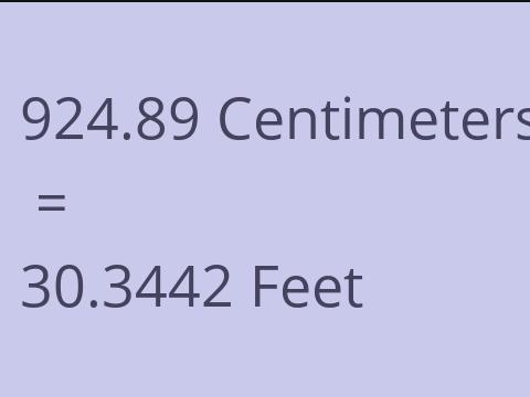 924.89 CM TO FEET