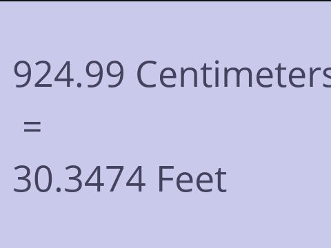 924.99 CM TO FEET