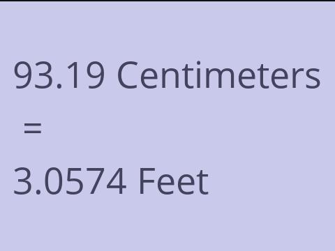 93.19 CM TO FEET