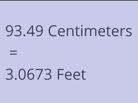 93.49 CM TO FEET