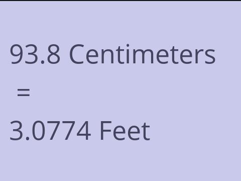 93.8 CM TO FEET