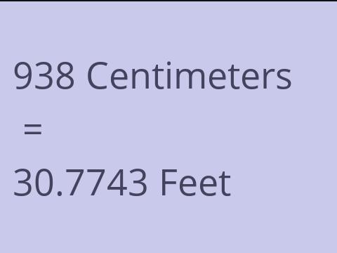 938 CM TO FEET