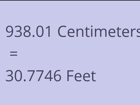 938.01 CM TO FEET